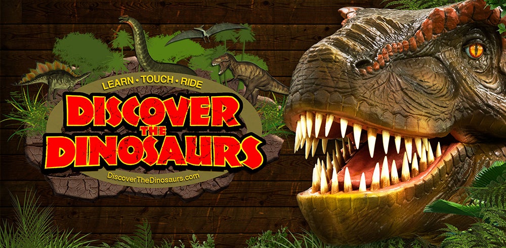 discover the dinosaurs