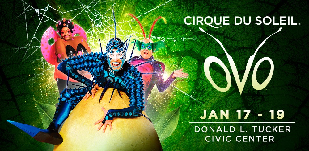 Cirque Du Soleil Ovo Donald L Tucker Civic Center